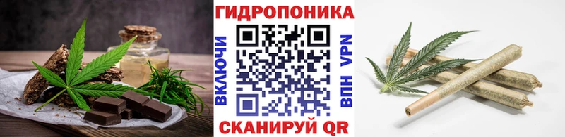 цены наркотик  Сорск  Canna-Cookies конопля 